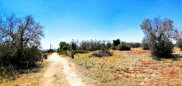 terreno agricolo in vendita a Morciano di Leuca