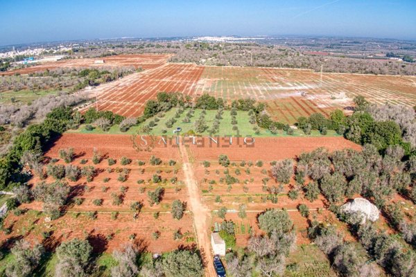terreno agricolo in vendita a Morciano di Leuca in zona Barbarano del Capo