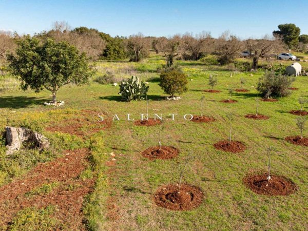 terreno agricolo in vendita a Morciano di Leuca