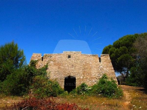 terreno agricolo in vendita a Morciano di Leuca