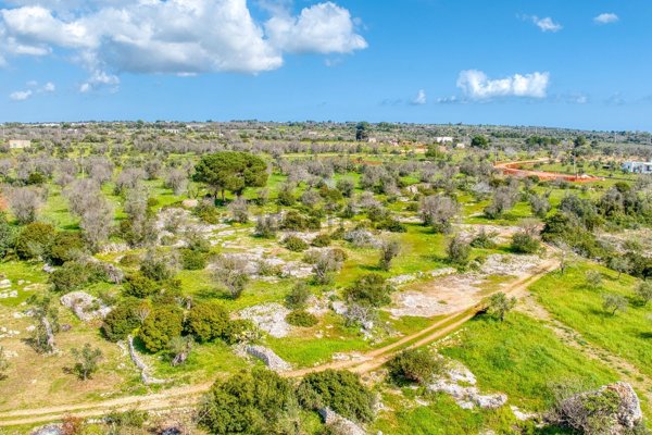 pentavano in vendita a Morciano di Leuca