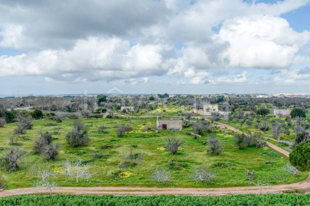 immagine annuncio 0 di 13