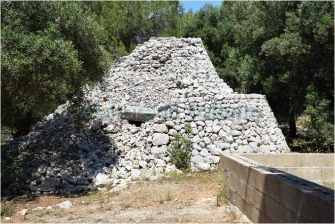 terreno agricolo in vendita a Morciano di Leuca
