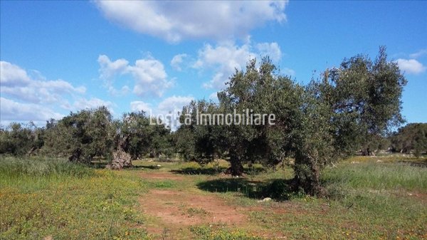 esavano in vendita a Morciano di Leuca in zona Marina di Torre Vado