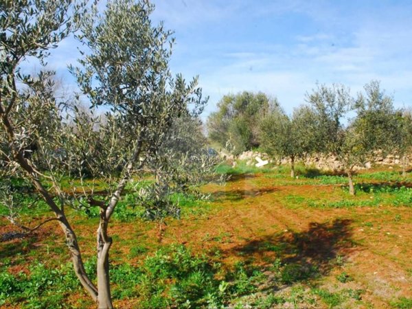 terreno agricolo in vendita a Morciano di Leuca