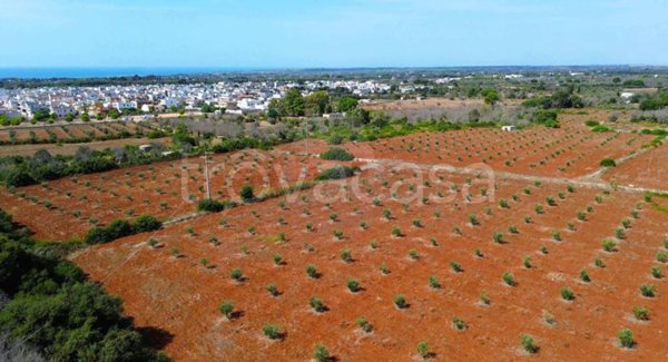 casa indipendente in vendita a Morciano di Leuca in zona Barbarano del Capo