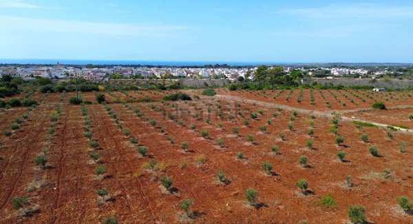 quadrivano in vendita a Morciano di Leuca in zona Barbarano del Capo