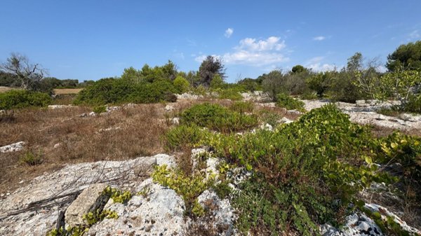 casa indipendente in vendita a Morciano di Leuca