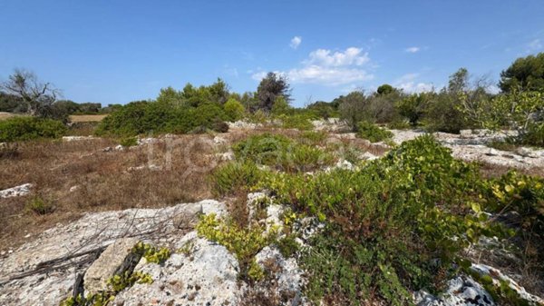 casa indipendente in vendita a Morciano di Leuca in zona Marina di Torre Vado