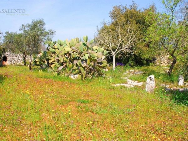 terreno in vendita a Morciano di Leuca