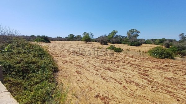 terreno in vendita a Morciano di Leuca