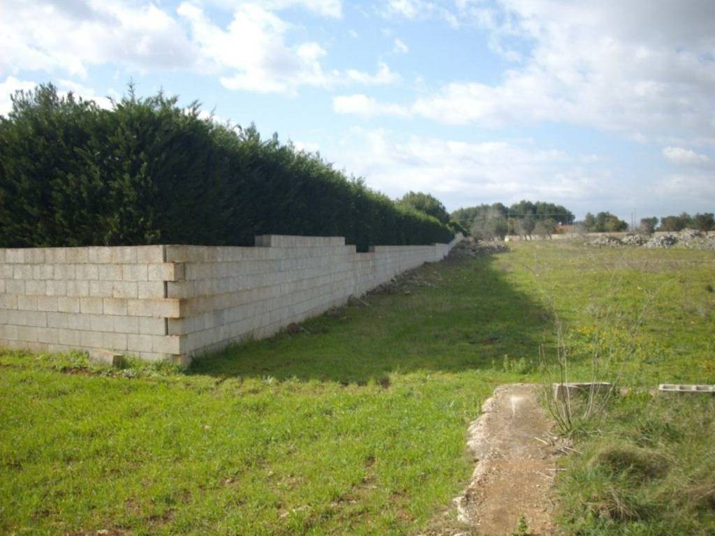 terreno agricolo in vendita a Muro Leccese