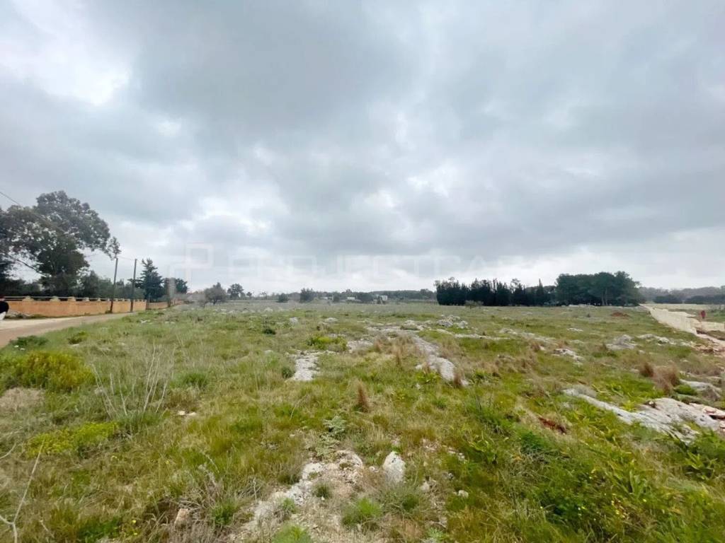 terreno agricolo in vendita a Muro Leccese