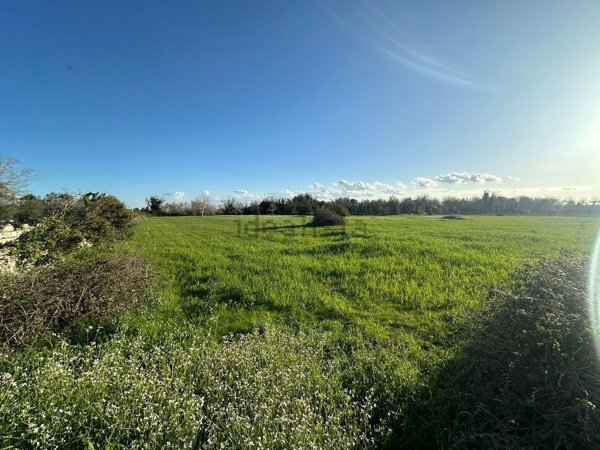 terreno agricolo in vendita a Muro Leccese