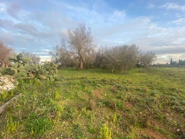terreno agricolo in vendita a Muro Leccese