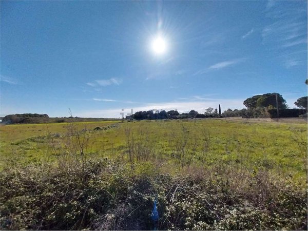 terreno agricolo in vendita a Muro Leccese