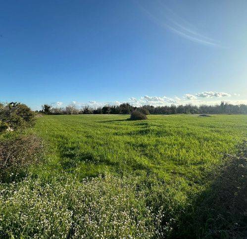 terreno agricolo in vendita a Muro Leccese