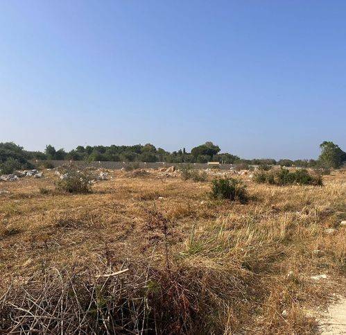 terreno agricolo in vendita a Muro Leccese