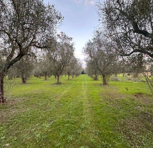casa indipendente in vendita a Muro Leccese