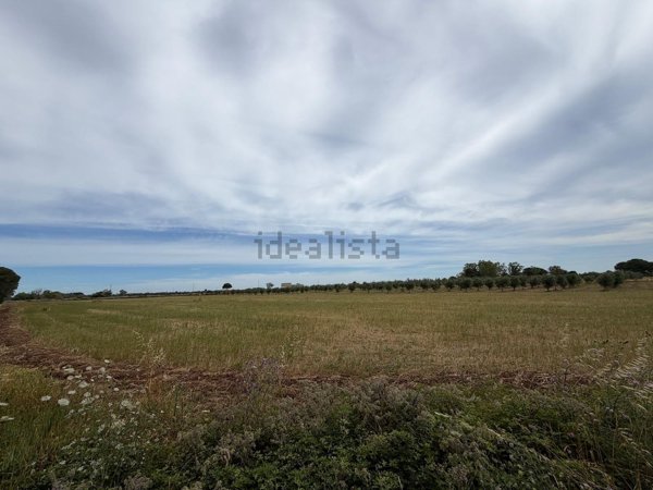 terreno agricolo in vendita a Muro Leccese