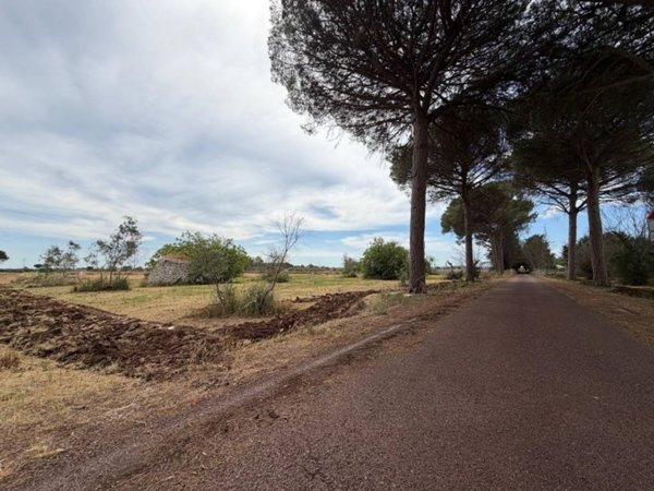 terreno agricolo in vendita a Muro Leccese