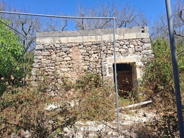 terreno agricolo in vendita a Muro Leccese