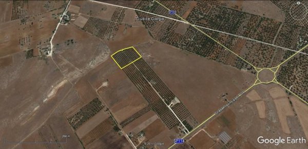 terreno agricolo in vendita a Nardò in zona Boncore