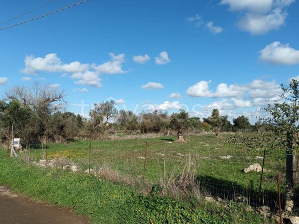 terreno agricolo in vendita a Nardò