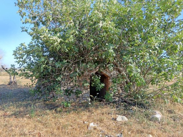 terreno agricolo in vendita a Nardò