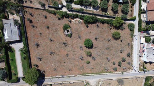 appartamento in vendita a Nardò in zona Santa Caterina