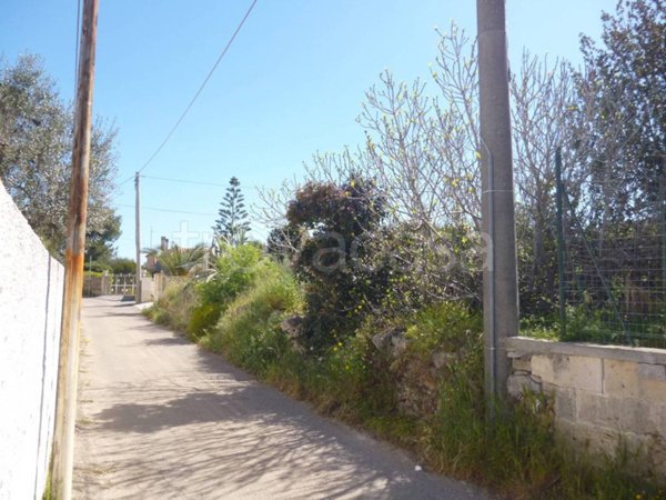 terreno agricolo in vendita a Nardò