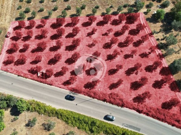terreno agricolo in vendita a Nardò