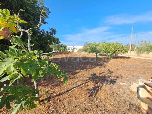 terreno agricolo in vendita a Nardò