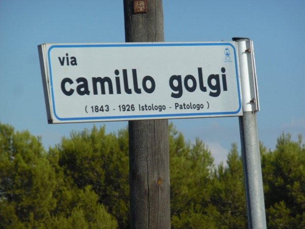 terreno agricolo in vendita a Nardò