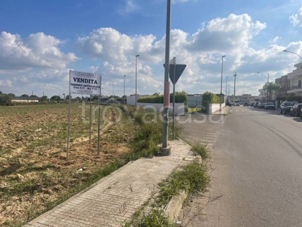 terreno agricolo in vendita a Nardò