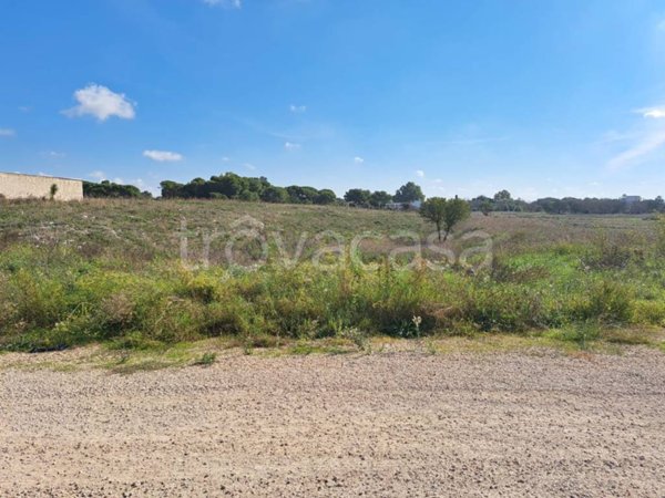 terreno agricolo in vendita a Nardò