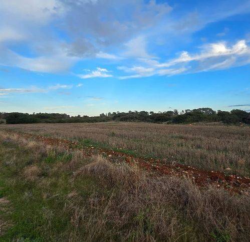 terreno agricolo in vendita a Nardò in zona Sant'Isidoro