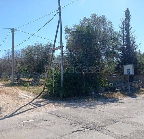 terreno agricolo in vendita a Nardò in zona Sant'Isidoro