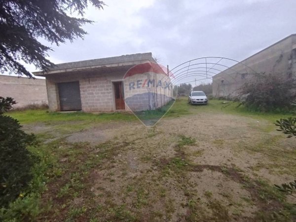 terreno agricolo in vendita a Nardò