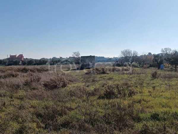 terreno agricolo in vendita a Nardò