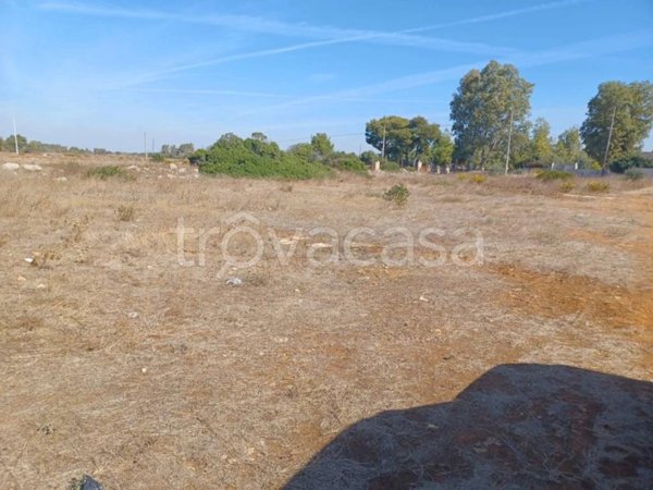 terreno agricolo in vendita a Nardò