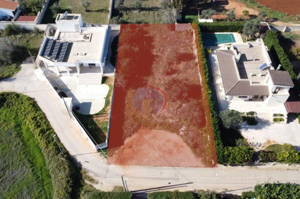 terreno agricolo in vendita a Nardò in zona Santa Caterina