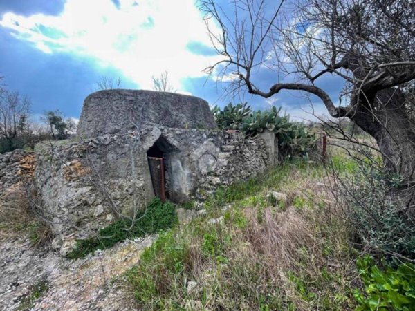 terreno agricolo in vendita a Nardò