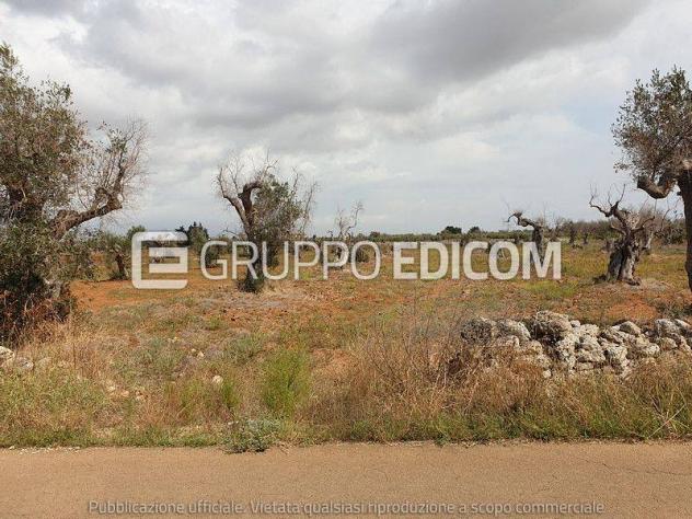 terreno agricolo in vendita a Nardò