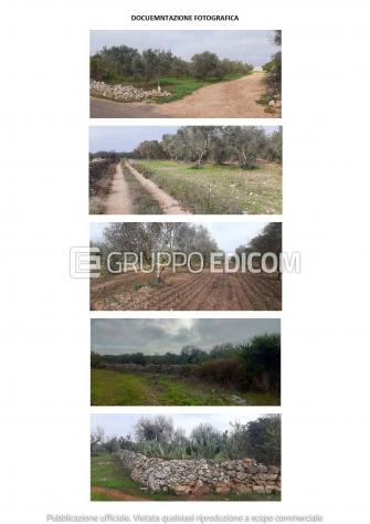 terreno agricolo in vendita a Nardò