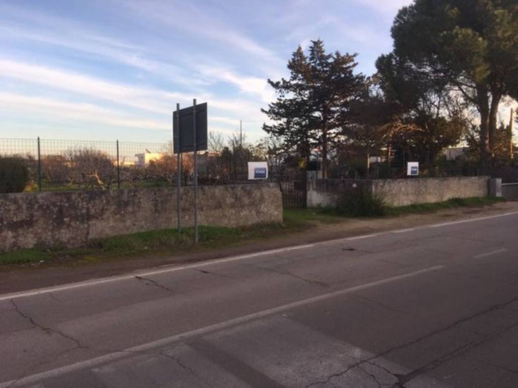 terreno agricolo in vendita a Nardò