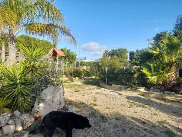 terreno agricolo in vendita a Nardò