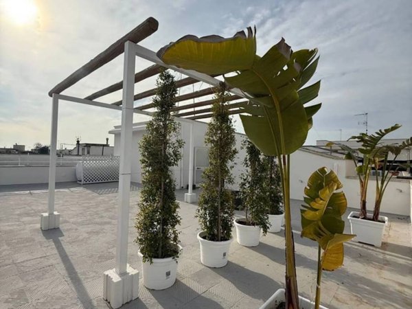 appartamento in vendita a Nardò