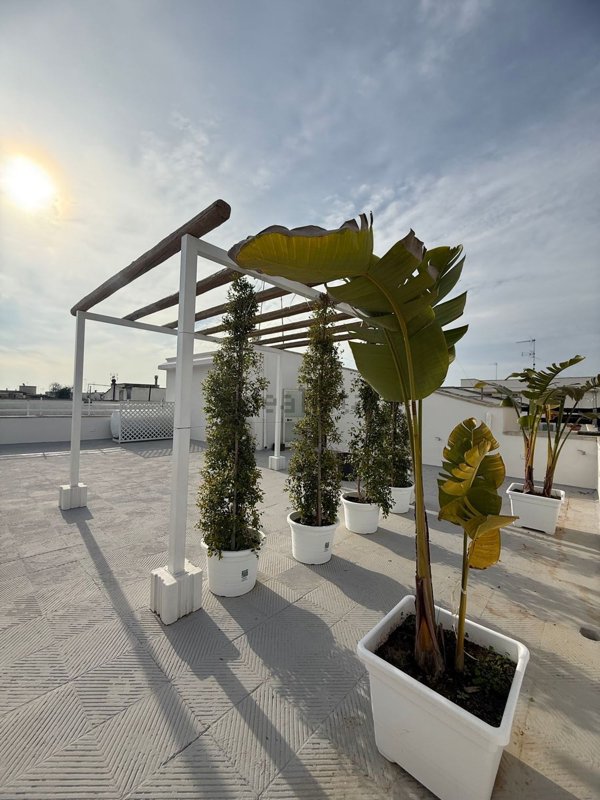 appartamento in vendita a Nardò