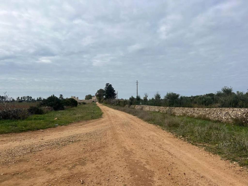 terreno agricolo in vendita a Nardò